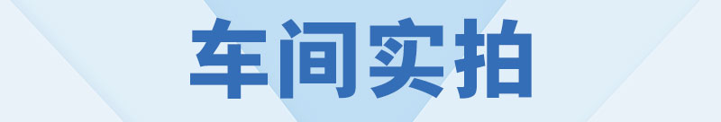 Собственно мастерская.